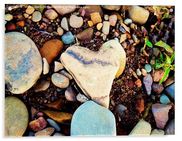  heart of stone Acrylic by Tanya Lowery