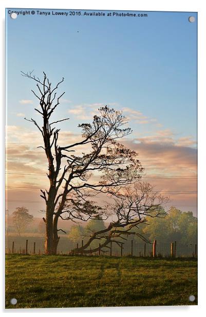  Tree on a misty morning Acrylic by Tanya Lowery