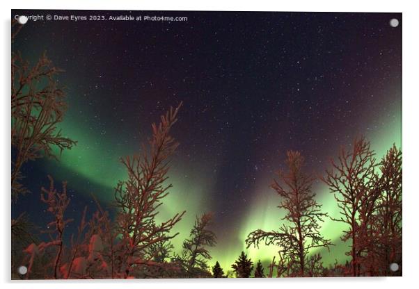 Aurora Borealis & Stars Acrylic by Dave Eyres