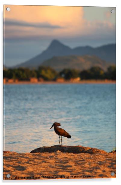 Lake Malawi Acrylic by Dave Eyres