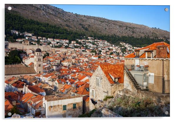 Houses of Dubrovnik Acrylic by Artur Bogacki