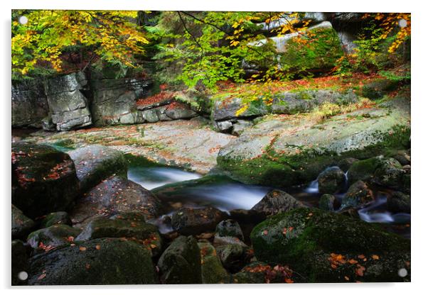 Creek in Autumn Mountain Forest Acrylic by Artur Bogacki