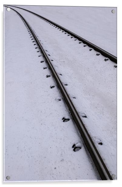 Railway Tracks In Snow Acrylic by Artur Bogacki