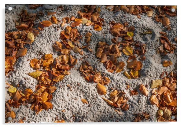 Fallen Autumn Leaves In Sand Acrylic by Artur Bogacki