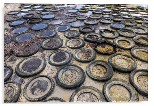 Sea Shore Covered With Old Rubber Tyres Acrylic by Artur Bogacki