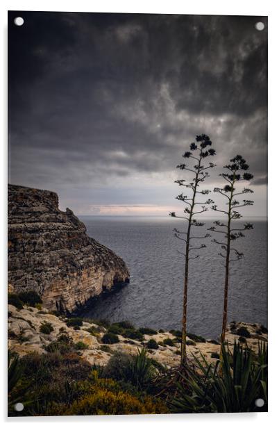 Malta Sea Coast On Gloomy Morning Acrylic by Artur Bogacki
