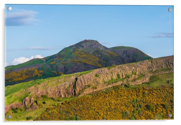 Scottish Lowlands Landscape With Arthur Seat Acrylic by Artur Bogacki