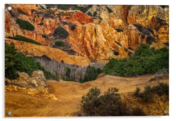 Algarve Landscape In Portugal Acrylic by Artur Bogacki