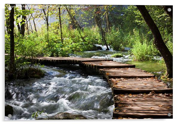 Stream in the Forest Acrylic by Artur Bogacki