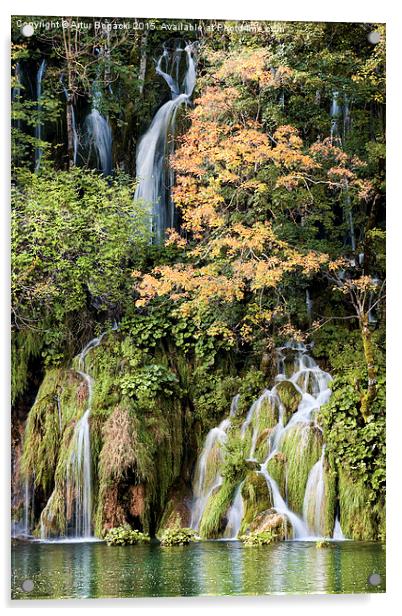 Autumn Waterfalls Acrylic by Artur Bogacki