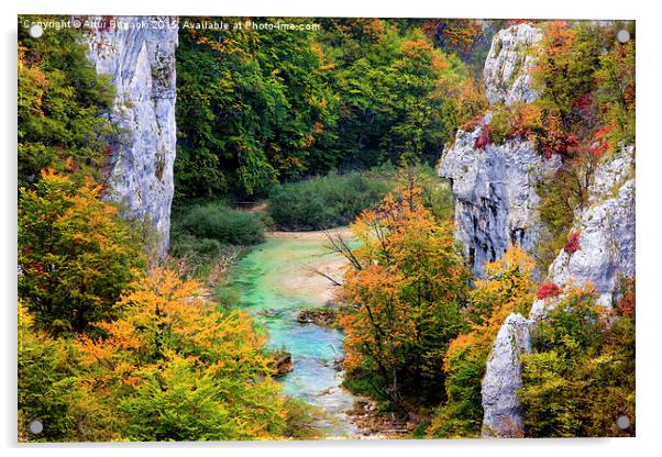 Stream in Autumn Mountain Forest Acrylic by Artur Bogacki