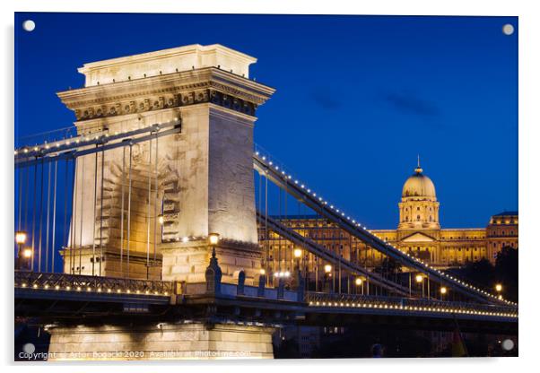 Chain Bridge and Buda Castle at Night in Budapest Acrylic by Artur Bogacki