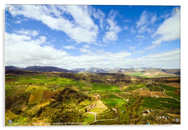 Andalucia Landscape Acrylic by Artur Bogacki