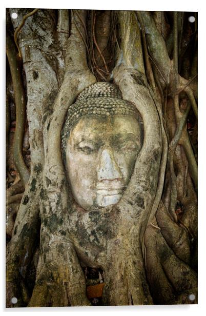 Ancient Buddha Entwined Within Tree Roots In Thailand Acrylic by Artur Bogacki