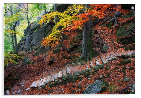 Old Stone Stairs In Autumn Mountains Acrylic by Artur Bogacki