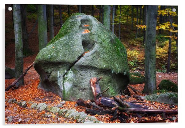 Mushroom Rock in Forest Acrylic by Artur Bogacki