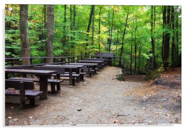 Picnic and Rest Tables and Benches in Forest Acrylic by Artur Bogacki