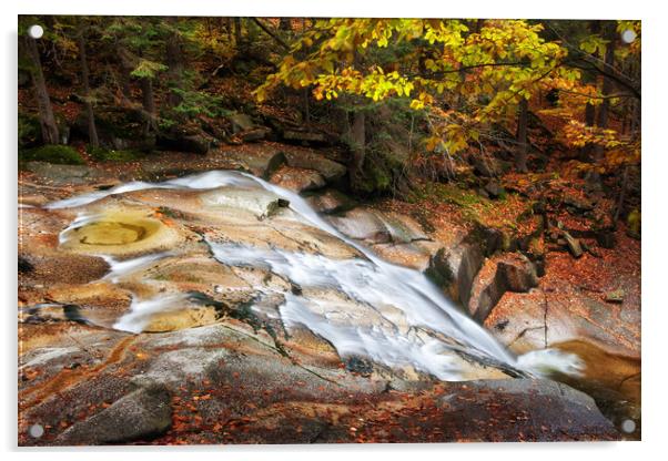 Mountain River In Autumn Acrylic by Artur Bogacki