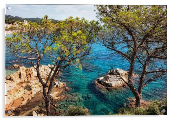Costa Brava Sea Coast in Spain Acrylic by Artur Bogacki