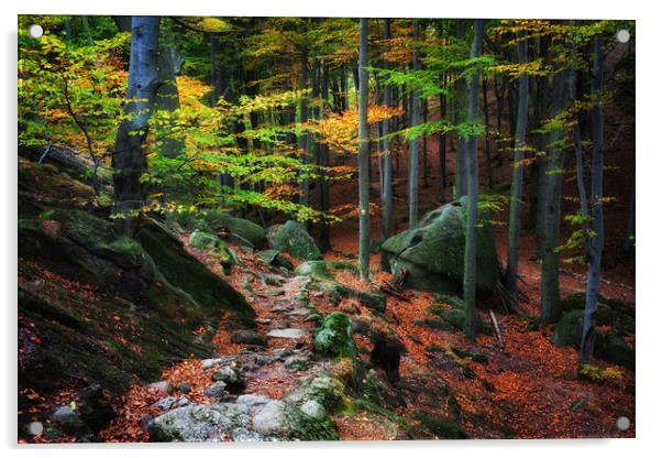 Mountain Forest In Autumn Acrylic by Artur Bogacki