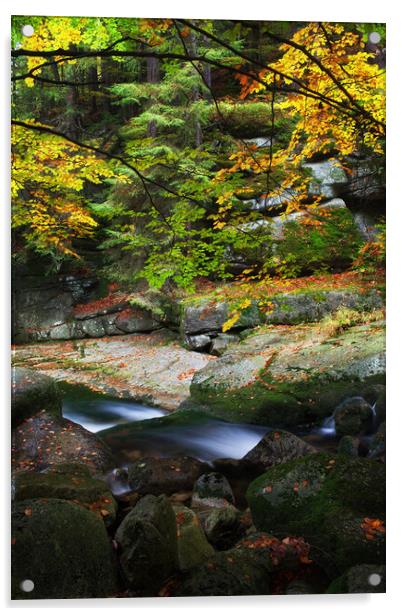 Creek In Autumn Mountain Forest Acrylic by Artur Bogacki