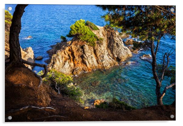 Sea Bay With Islet On Costa Brava In Spain Acrylic by Artur Bogacki