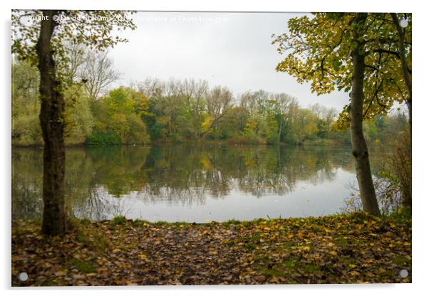 Autumn scene - Trees reflected in lake Acrylic by David Graham