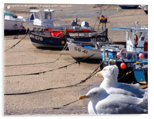 Seagulls of St Ives Acrylic by WrightAngle Photography