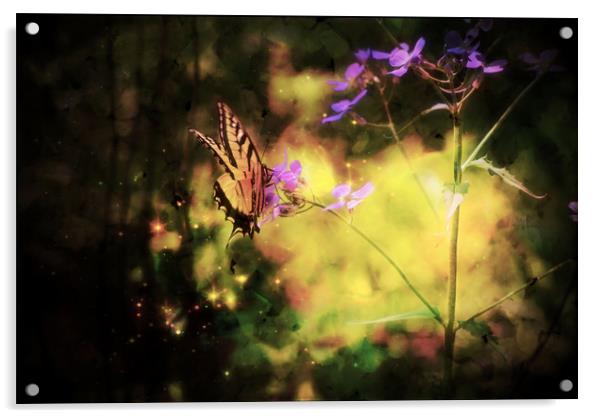 Butterfly Light Acrylic by Sarah Ball