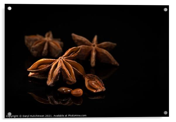Star anise Acrylic by Daryl Peter Hutchinson