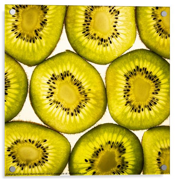 A close up of a kiwi fruit  Acrylic by Daryl Peter Hutchinson