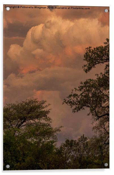  Dramatic sky Acrylic by Petronella Wiegman