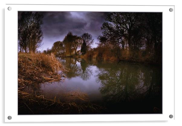 Chelmer canal scene, Essex, UK Acrylic by David Portwain