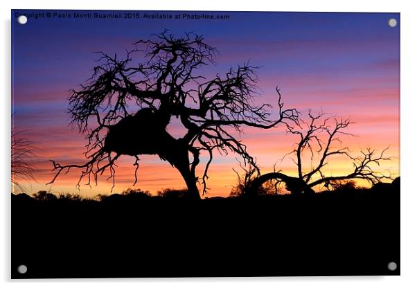Namibian sunset Acrylic by Paolo Monti Guarnier
