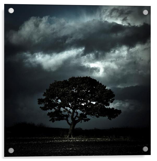   Autumn tree with stormy skies Acrylic by Julian Bound