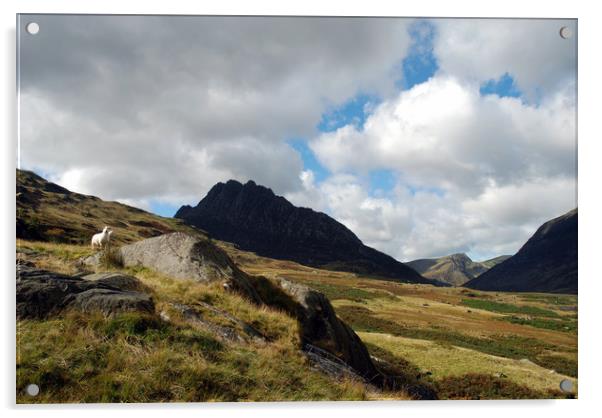 Tryfan Mountain In Snowdonia Acrylic by Harvey Hudson