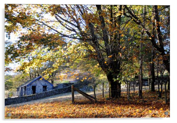 Autumn Scene Acrylic by Harvey Hudson