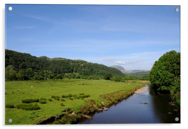 Afon Dwyryd near Maentwrog Acrylic by Harvey Hudson