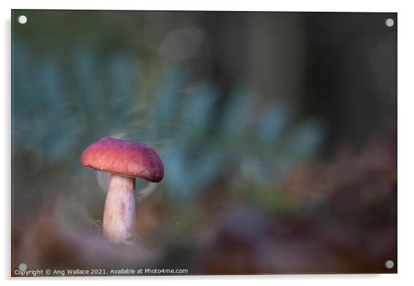 Brittlegill mushroom Acrylic by Ang Wallace