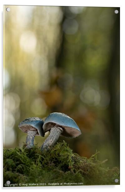 Blue roundhead mushrooms Acrylic by Ang Wallace