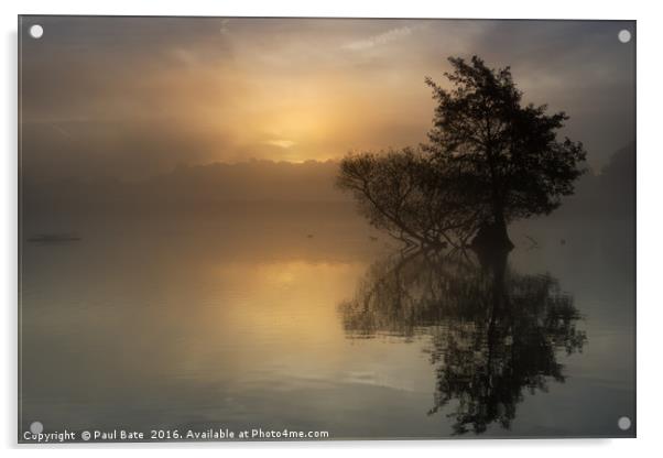 Misty Sunrise Acrylic by Paul Bate