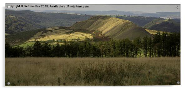 The view from the summit of Machen mountain Acrylic by Debbie Cox