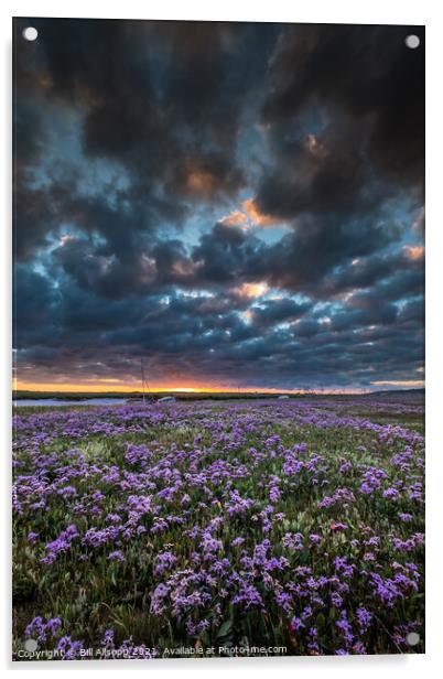 Sea lavender Acrylic by Bill Allsopp