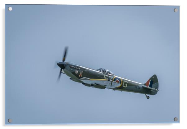 Spitfire MkXVl  Acrylic by Bill Allsopp