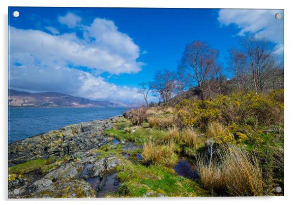 Loch Linnhe Acrylic by Bill Allsopp