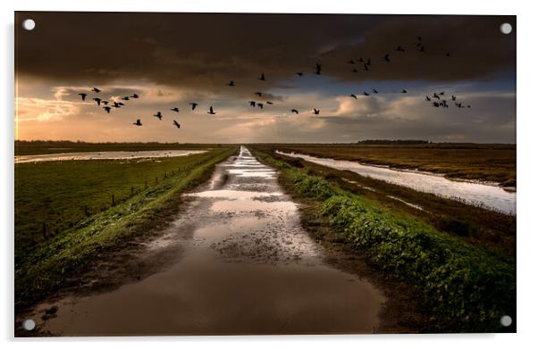 Geese over the bank. Acrylic by Bill Allsopp