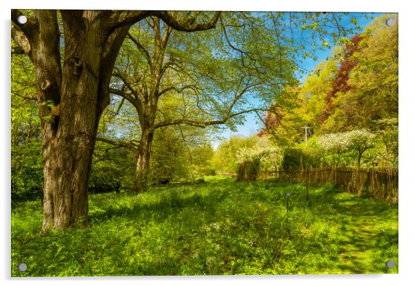 Spring Green Acrylic by Bill Allsopp