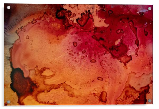 Shades of red. Acrylic by Bill Allsopp