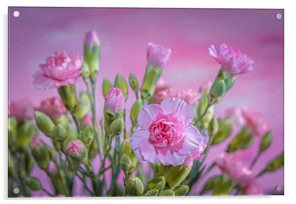 Pink Carnations in a vase. Acrylic by Bill Allsopp