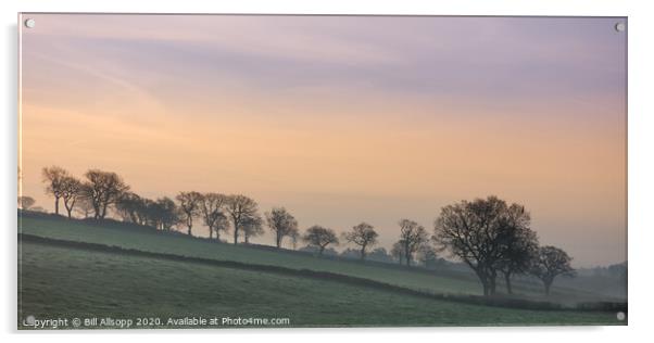 Spring dawn, Woodhouse Eaves Acrylic by Bill Allsopp